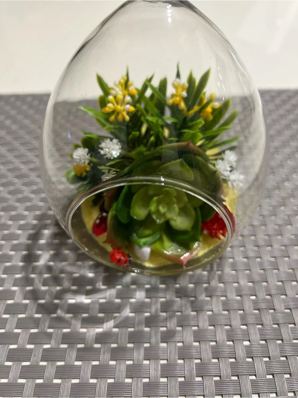 Glass Hanging Terrarium with Green Succulent and Yellow Blooms